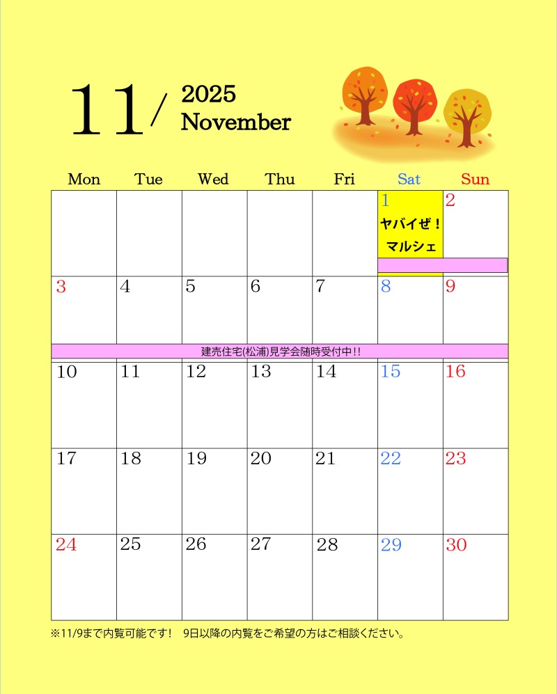 \ 11月イベント情報 /
